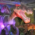Discover the Dinosaurs Exhibit