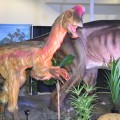 Discover the Dinosaurs