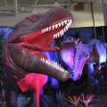 Discover the Dinosaurs