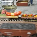 Train and Toy Show